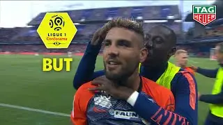But Andy DELORT (80') / Montpellier H&eacute;rault SC - Paris Saint-Germain (3-2)  (MHSC-PARIS)/ 2018-19