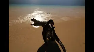 The Isle Beach Fight: Omnis VS Cera! 4K