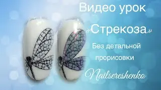Стрекоза. Дизайн без деталей. Стрекоза дизайн ногтей. Стрекоза на ногтях.
