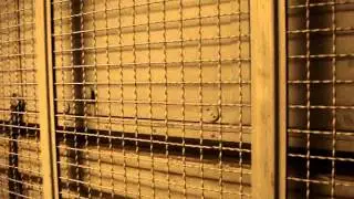 December 2010 Video: Schindler Hydraulic Freight Elevator at JCPenney, First Colony Mall