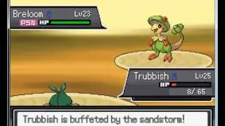How to beat Florinia. Pokemon Reborn.