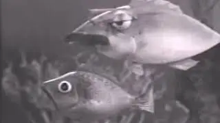 Diver Dan 02 Goldie the Goldfish