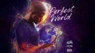 Voice - Perfect World  