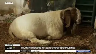 NAMPO | Youth introduced to agricultural opportunities