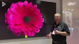 MAXHUB Introduces 1.2 Pixel Pitch COB LED Wall Display