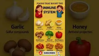Foods That Boost the Immune System | Strengthen Your Body Naturally #immunesystem #shorts
