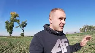 Jak dziś wygląda jęczmień ozimy z siewu bezpośredniego? NoTill