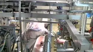 Scott - Automated Lamb Boning System 2011