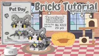 Build a Bricks Pet Day! Cute Kitten 🐱American Shorthair🐱 K222 l Tutorial Building Bricks Mini