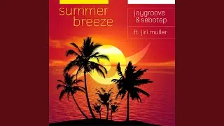 Summer Breeze (Instrumental)