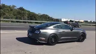 FORD MUSTANG BLACK SHADOW RONCO 🔥 INCR&Iacute;VEL / EXCLUSIVIDADE &Eacute; AQUI !!