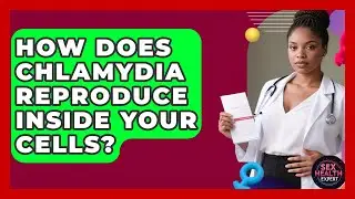 How Does Chlamydia Reproduce Inside Your Cells? - Sex Health Expert