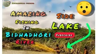 😳😲Amazing fishing in bidhadhori river side lake #fish #fishing #river #lake  #amazingfishing 