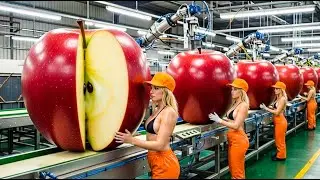 Inside a Modern Apple Factory: From Farm to Apple Juice | Full Process