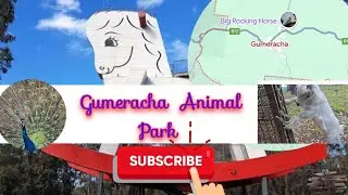 Gumeracha: The Animal Park Many Still Don't Know Exist