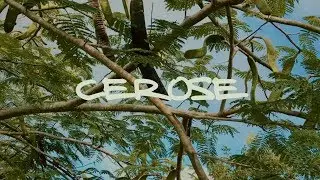 Cerose | Truth And Kulture | Music Video #Jamaica