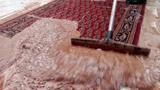 Muddy foam as thick as cream😵.See what we discovered while cleaning the carpet|ASMR