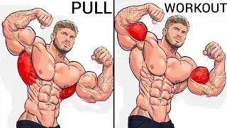 Best Pull Day Workout to Build Muscles - Pull Workout Gym