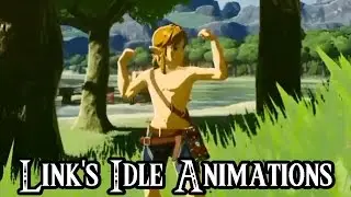 Link's Idle Animations