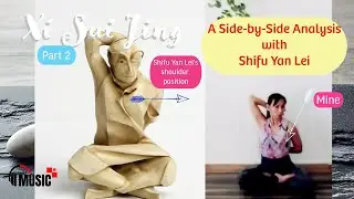 [A Side-by-Side Analysis with  @ShifuYanLei  ☯️ Xi Sui Jing P-2Music 