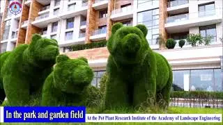 Active Efforts to Create Green Landscapes [DPRK News | English]