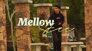 Erick Hernandez &ldquo;mellow stee&rdquo; skate part