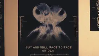 OLX WebWise - Meet Face to face (Medulla Oblongata)