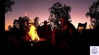 Night Campfire Ambience | Insect Sounds for Relaxing & Stress Relief