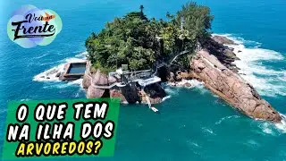 TUDO SOBRE A MISTERIOSA ILHA DOS ARVOREDOS EM GUARUJÁ - SP