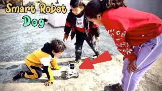 New AI Robot dog🐶 kids play with New AI dog