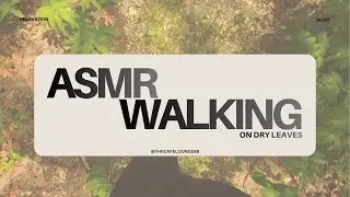 ASMR Walking on Dry Leaves 🍂 No Talking | Crunchy Leaf Sounds for Sleep & Relaxation