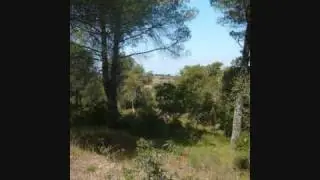 Cañaveral, Cáceres, mi  pueblo 2