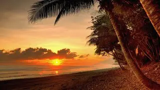 Days of Blues (summer relaxation) ~ Sons Of Maria