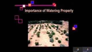 Landscape Workshop: ABCs of Landscape Watering
