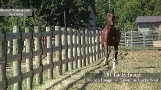 281 Lucky Image/Midwest Standardbred 25