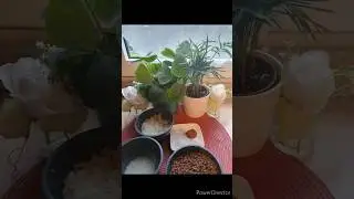 Moujadara pur&eacute;e de lentilles et riz libanaise طريقة مجدرة لبنانية