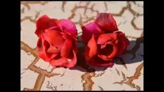 polymer clay accessories