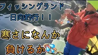 【海上釣堀】　寒さくても釣れれば結果良し👌