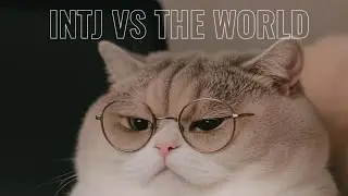 INTJ vs the world p1