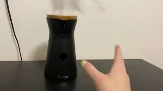 Furbo 360&deg; Cat Camera + Cat Nanny, Home Emergency & Activity Alerts Review