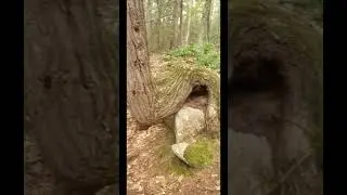 Secret Hidden Creek Found on Hiking Trail
