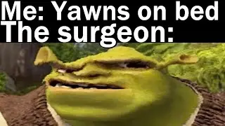 Nightly Juicy Memes #537