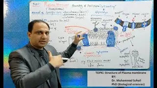 Structure of Cell Membrane (Fluid mosaic model)/Boundary of protoplasm