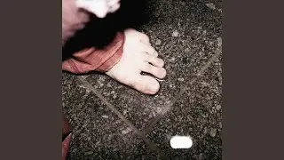 Máš rád