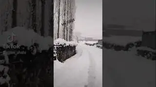 #snowfall #gilgitbaltistan #chilas #tangirvalley #chitral #murree #fyp #imrankhan #pti #viral #video