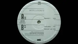 Bassman / De La Ray – Intelligence (Slammin')