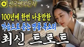 최신트로트🎤 가슴으로 듣는 명품 목소리, 아픈 마음을 위로하는 국악 트로트 | 그냥 틀어두세요 | 감성 트로트 | 중독주의 | #7080 #트로트핏