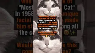 🐱 Baffins &ndash; The Most Expressive Cat of 1958! 🏆 #facts #history #amazingfacts  #didyouknow #funfact