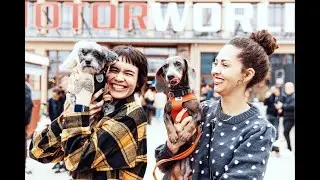 DackelRace & DogWorld 2024