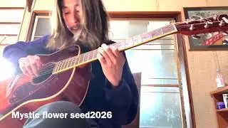 Mystic flower seed 2026    6bark